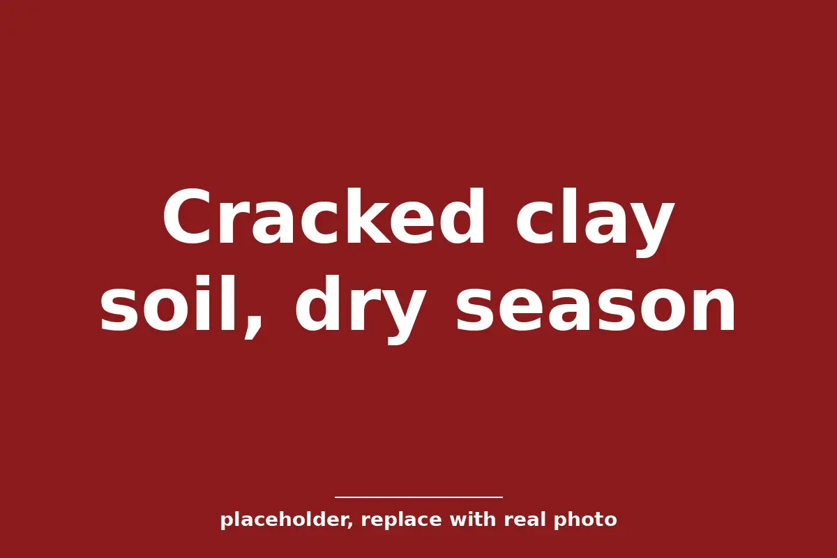 Dry cracked clay soil in a Tulsa yard during drought, the soil behind most Tulsa foundation repair